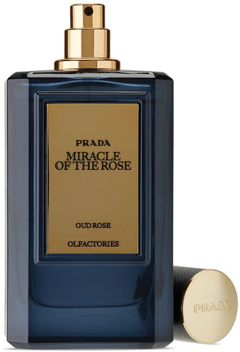 prada rose eau de parfum 100ml|prada miracle of the rose.